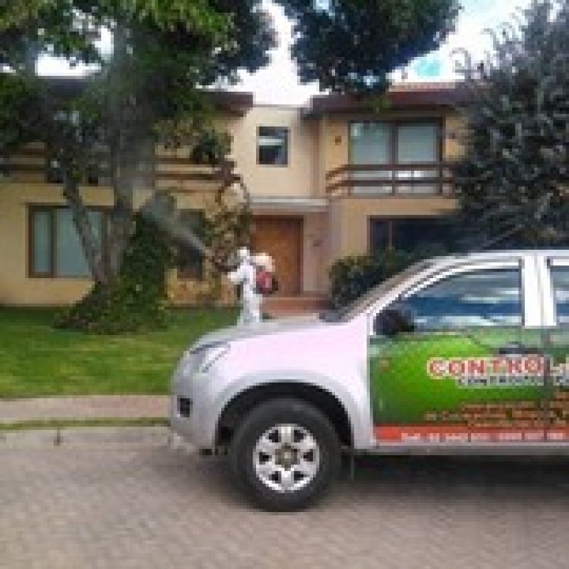 Imagen3